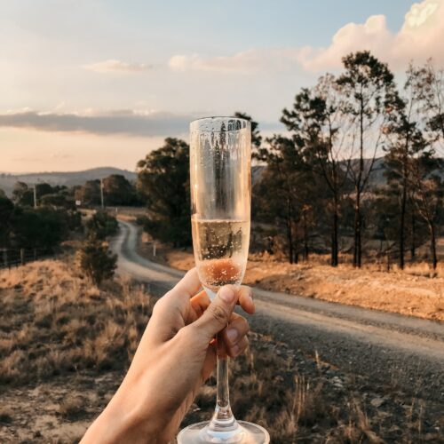 Verre de champagne tenu devant un paysage d'été.